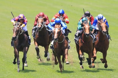 Taree tips - 05/06