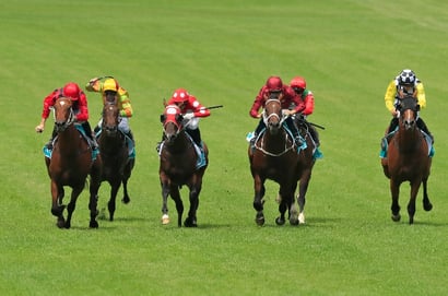 Taree tips - 16/10