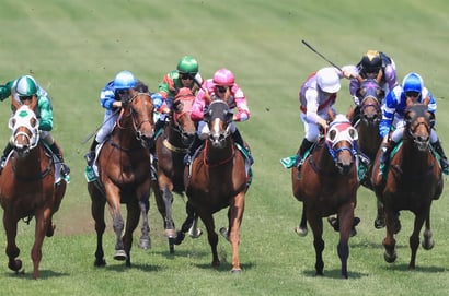 Taree tips for 12/05