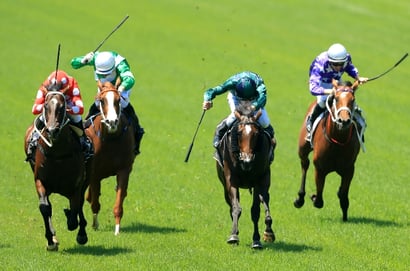 Taree tips for 22/09