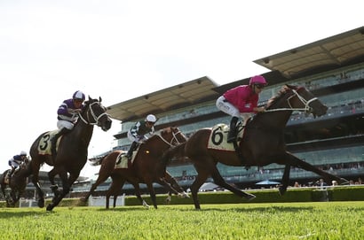 Tatts Tiara Odds