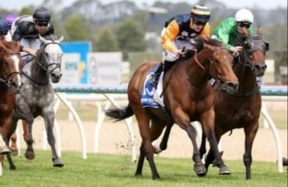 Tatura Racing Tips for September 7- Danny O’Brien galloper the one to beat in Race 6