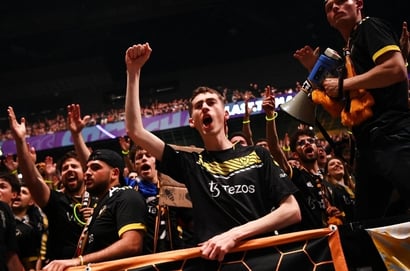 Team Vitality fans