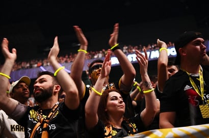 Team Vitality fans