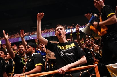Team Vitality fans