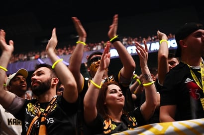 Team Vitality fans