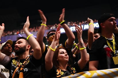 Team Vitality fans