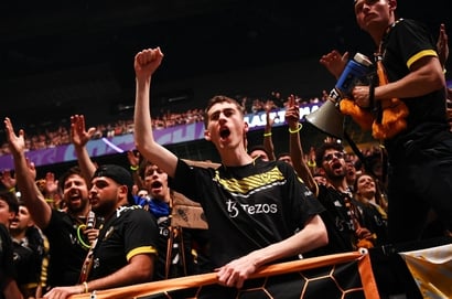Team Vitality fans