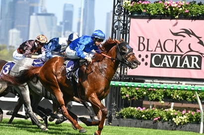 Flemington Blackbookers February 14 – Horses to follow from Black Caviar Lightning Stakes Day