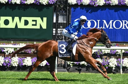 Champions Sprint Tips - Tentyris to cement standing as new star sprinter
