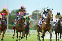 Terang Tips for 13.04.2025