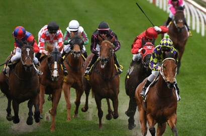 Terang tips for 16.12.2025