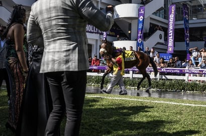 Durban July 2026 - Star Major set for a fairytale finish in Africa’s greatest horse race