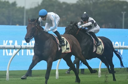 The Galaxy 2025 Betting Odds - Private Harry leads The Galaxy market
