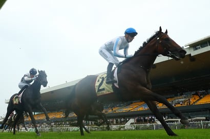 The Galaxy 2025 Betting Tips - Private Harry to remain unbeaten