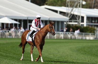 The Goodwood 2025 Betting Odds - Giga Kick is an outright favourite