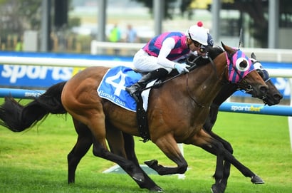 The Goodwood 2026 Betting Odds - Rey Magnerio Tops an Open Market