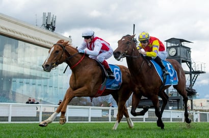 The Goodwood 2025 Betting Tips - Can Giga Kick launch first-up?