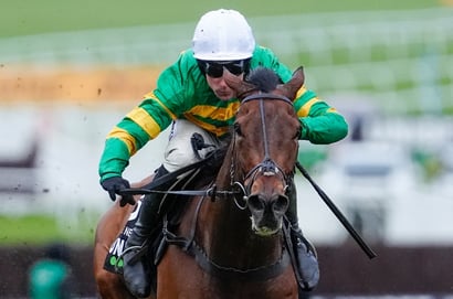 2026 Champion Hurdle Odds - The New Lion and Brighterdaysahead now vying for favouritism