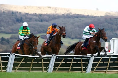 The New Lion cheltenham