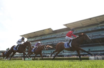Thousand Guineas 2025 Betting Odds - Apocalyptic a Short-Priced Favourite