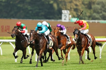 Thousand Guineas Odds