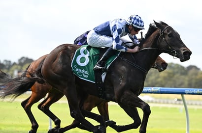 Thousand Guineas 2026 Betting Odds - Regal Ambition Leads an Open Market