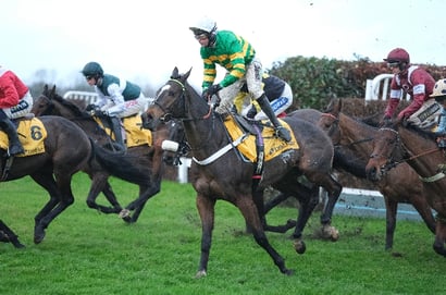 Tingle Creek Chase