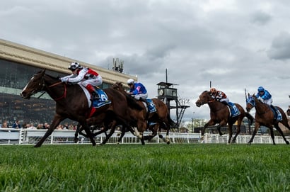 Toorak Handicap 2025 - Barrier Draw & Final Field