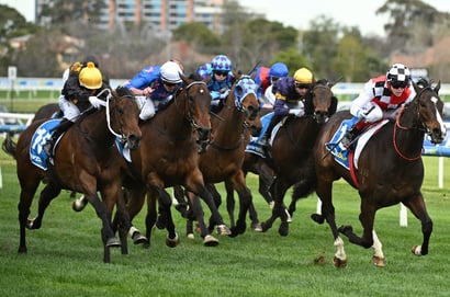 Toorak Handicap 2025 Betting Tips - Feroce & Damask Rose the Main Threats to Sepals