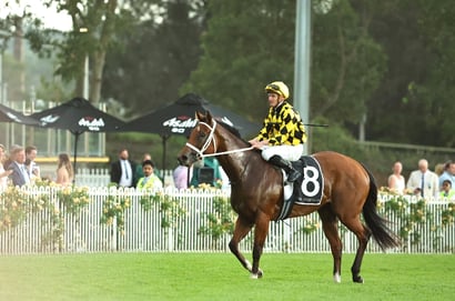 Autumn Glow Returns As Stars Step Out At Randwick Trials