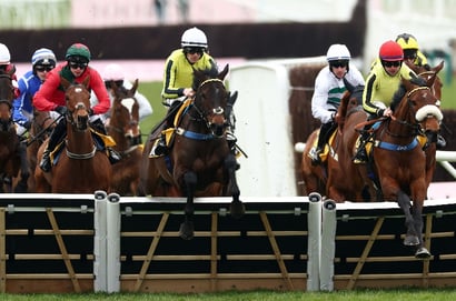 2026 Triumph Hurdle Live Stream - Watch the Cheltenham Festival race online
