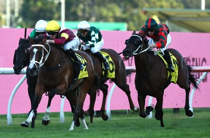 Turffontein Horse Racing