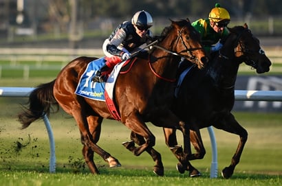 Turffontein racing