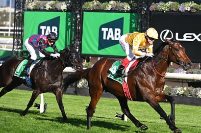 Turnbull Odds