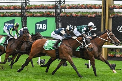 Turnbull Stakes 2025 - Barrier Draw & Final Field