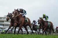 Turnbull Stakes Odds