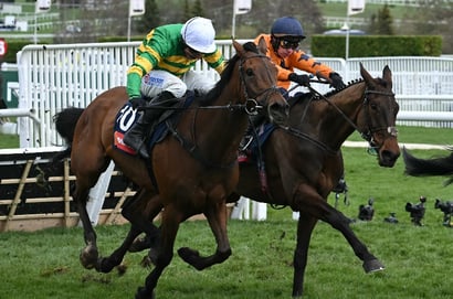 Turners Novices' Hurdle