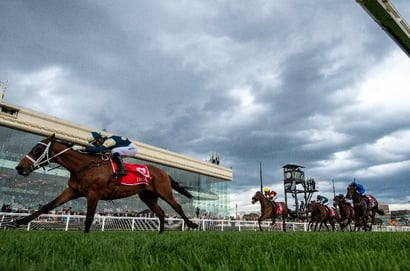 Underwood Stakes 2025 - Barrier Draw & Final Field