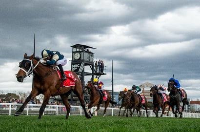 Underwood Stakes 2025 Betting Odds - Sir Delius, Buckaroo & Moira in the Spotlight