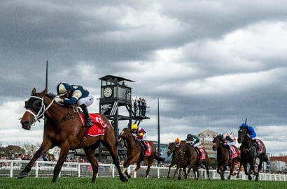 Underwood Stakes Tips - Sir Delius to stamp class in the Underwood Stakes