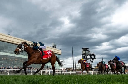 Underwood Stakes barriers