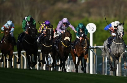 Vaal horse racing