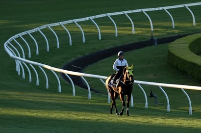 Vaal race day tips
