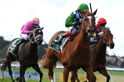 Vaal racing