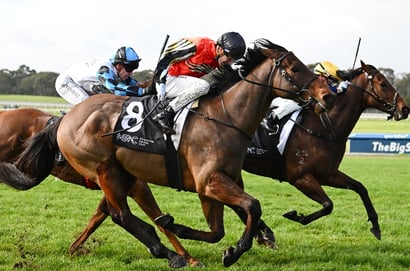 Vaal racing