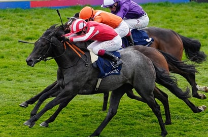 Vaal Horse Racing Tips - Get all the racing tips for 5 May, 2026