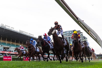 Moonee Valley Blackbookers - Saturday, September 6