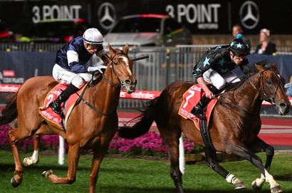 Moonee Valley Betting Tips for October 24 - Gold Cup Night Selections & Value Plays