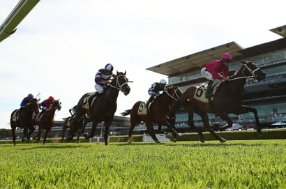 Verry Elleegant Stakes 2025 Betting Odds - Via Sistina heads the market